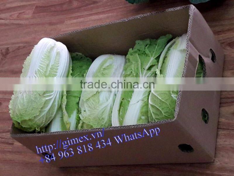 FRESH CHINA CABBAGES