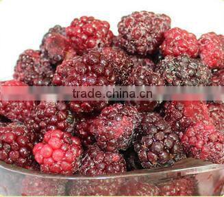 asian frozen vegetables and fruits iqf frozen blackberry
