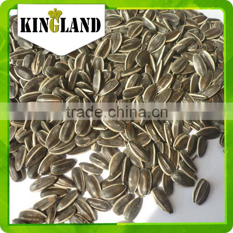 Best Quality Indian Sunflower Seeds for OIl