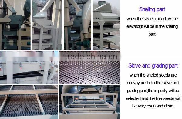 High Shelling Rate Pumpkin Seeds Shelling Machine
