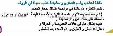 Balsam Pear and St. John's Worth Mixed Herbal Tea Bags