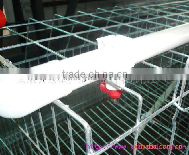 chicken cage,automatic poultry equipment,chicken layer cage