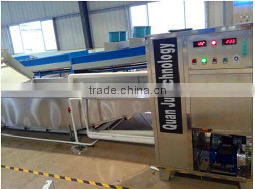 ozone generator commercial grade/ozone sanitating system/ozone sanitation machine