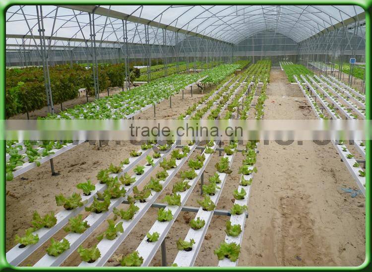 Roof ventilation/fixed window agricultural greenhouse