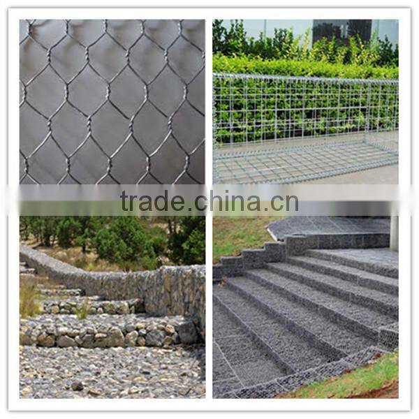 Hepeng company gabion wire mesh/Hexagonal wire netting