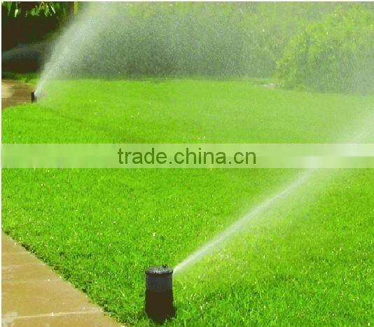 Irrigation system for lawn