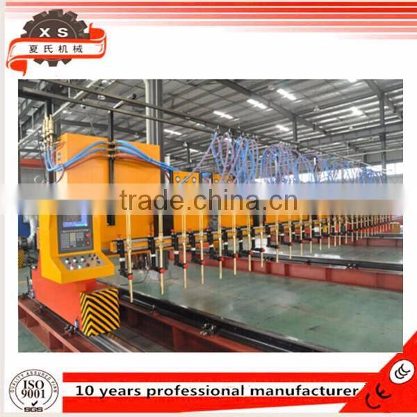 Iron/ Stainless Steel/ aluminum/ copper CNC Plasma Cut Metal Plasma Cutting with CE CNCSG4000