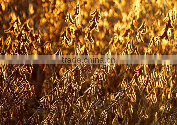 5% discount manual corn seeding machine