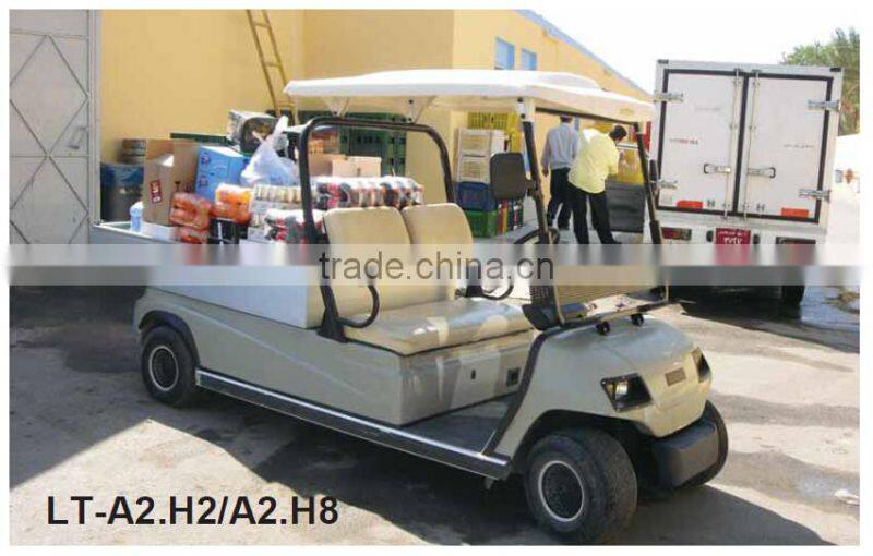 electric utility car