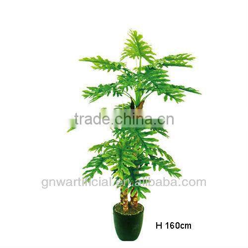 G50 GNW Artificial plants indoor office