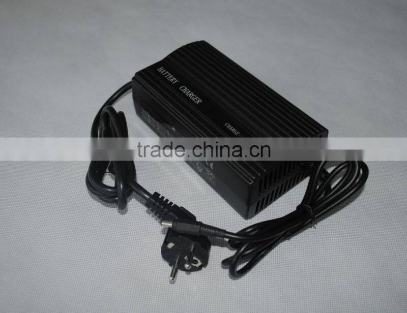 frog style 24V LiFePO4 battery for ebike