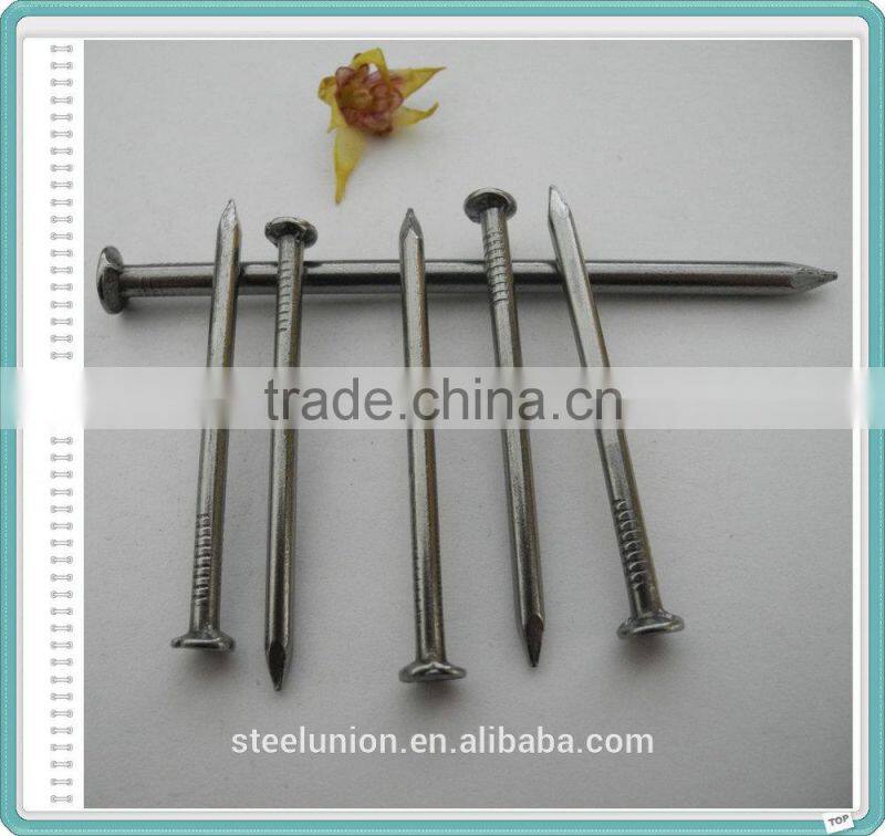 2.5" Polished Nail/Common Nail/Wire Nail