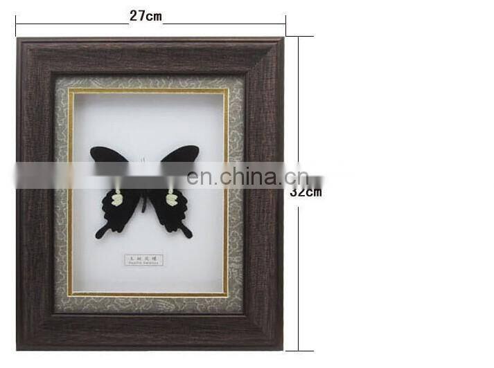Nature real butterfly frame home decoration craft