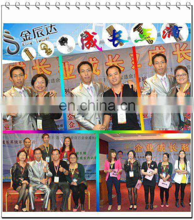 DIN standard din 944 set screw factory (with ISO and RoHs certification )