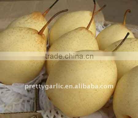 fresh Golden pear