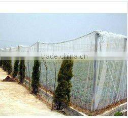 greenhouse anti-insect net