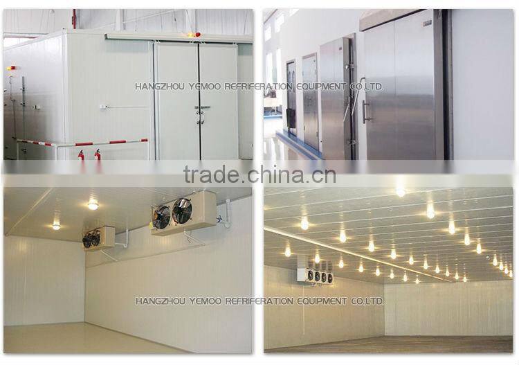 zhejiang hangzhou Yemoo supermarket solar walk in freezer