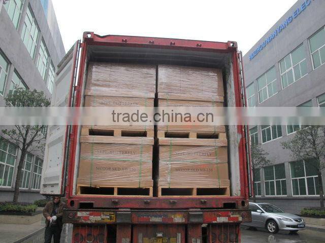 60W Clotes Dryer Motor/Spin Motor