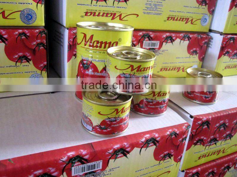 Pasta de tomate en lata/canned tomato paste