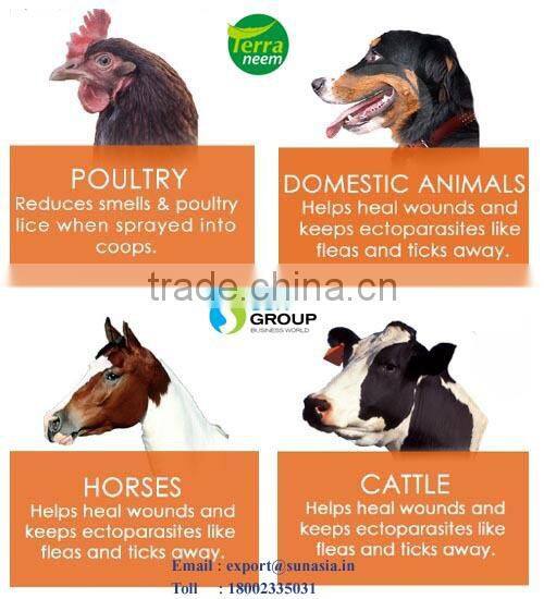 Neem Seed Oil in expoxy coated steel drums