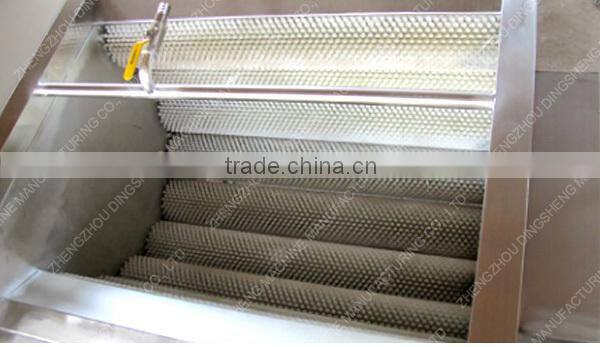 Hot sales Fruit cleaning equipment