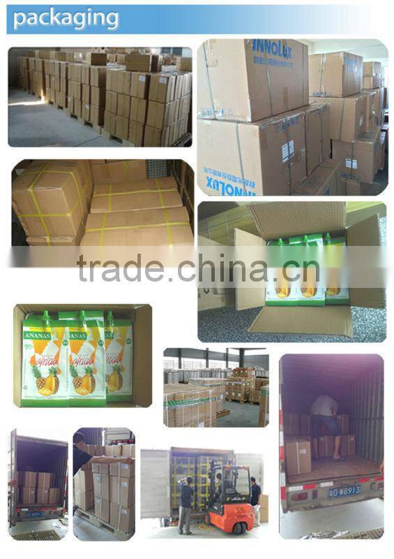 Colorful printing Pet Dog Shampoo Packaging Spout Pouch doypack For PET Food Bag