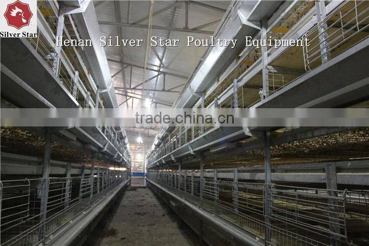 Automatic Egg Collection Machine & Crosswise Egg Conveyor System For A type and H Type Battery Layer Cage