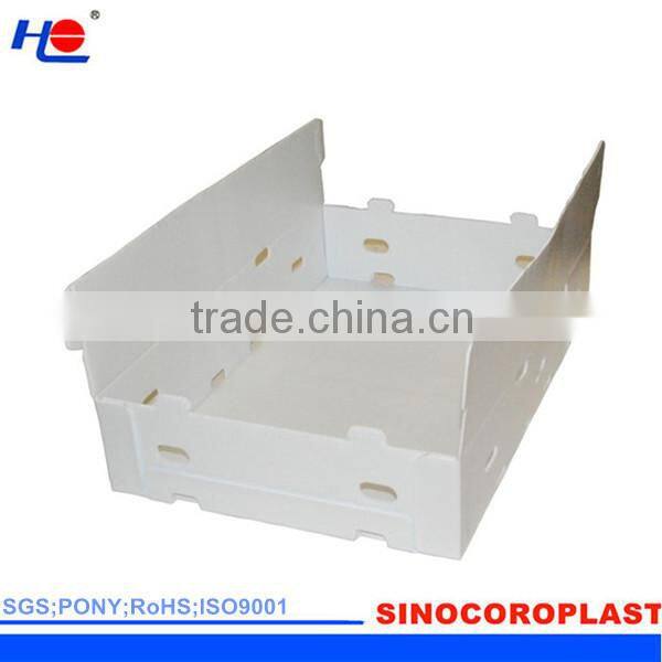 Foldable Plastic Fruit Box