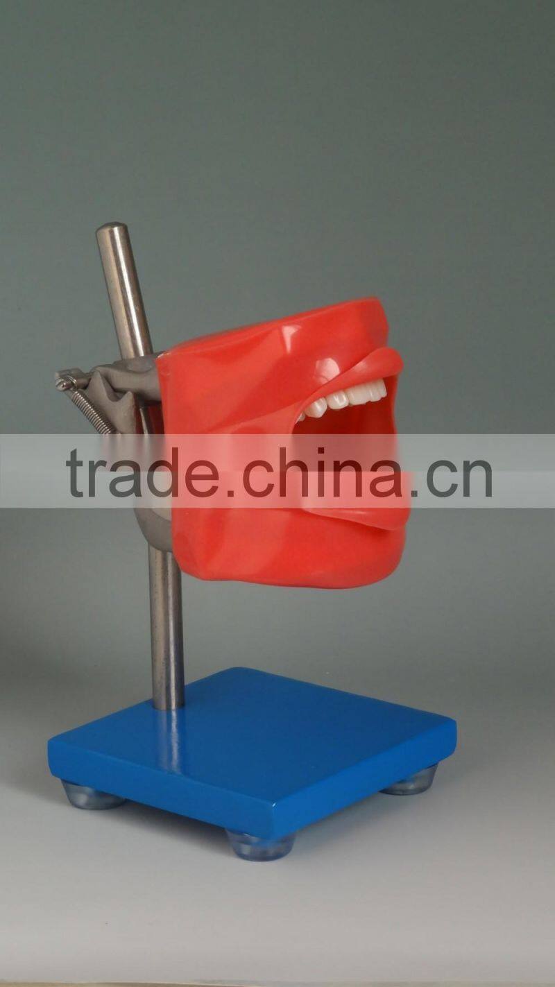 Bracket Shaped operating model DEA-26