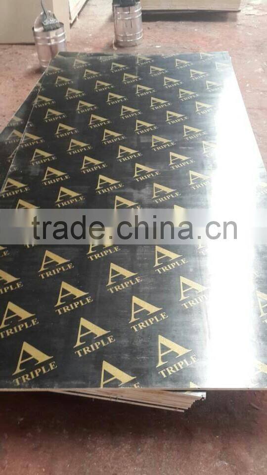 12mm wbp concrete construction plywood plywood from Linyi