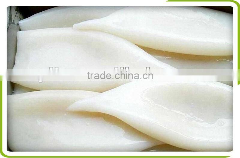 frozen squid