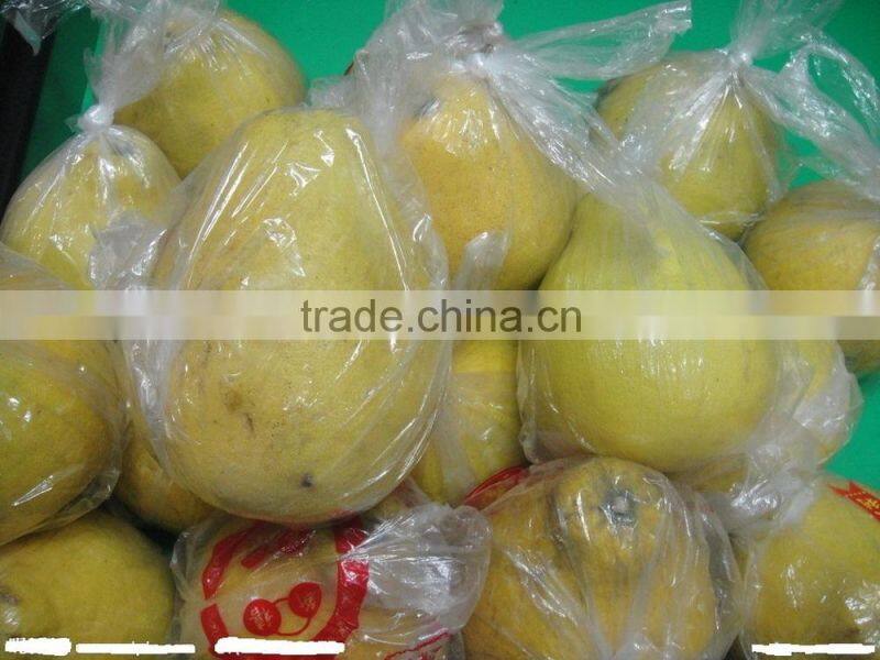 white flesh pomelo
