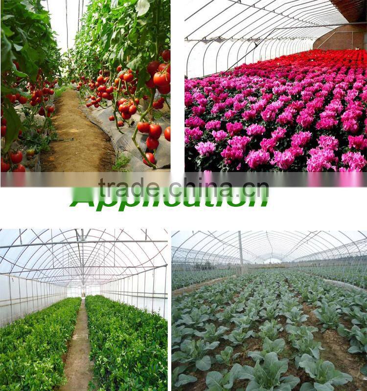Single span Co2 Generator Greenhouse for sale