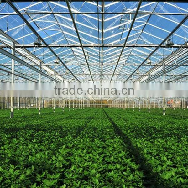 UV resistance flower greenhouses,farm hothouses, glasshouse big shed made in China