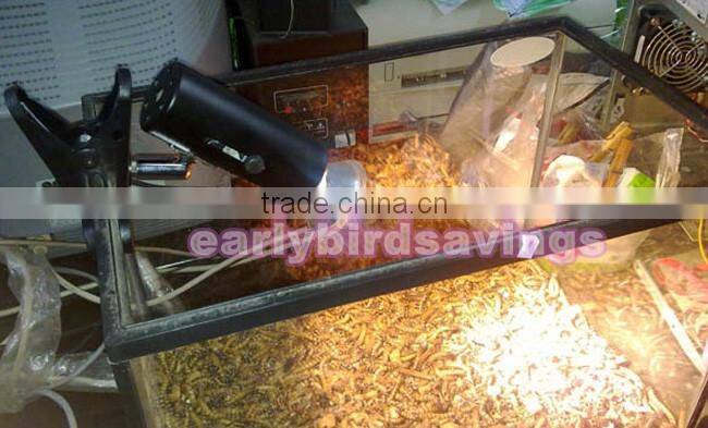 Clamp Light Lamp Holder for Reptile Ceramic Infrared Heat Emitter Switch US Plug