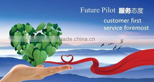 Manufacturer of multifunctional automatic small scale maize milling machine