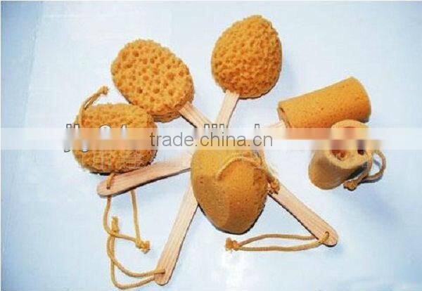 2015 most popular shower sponge