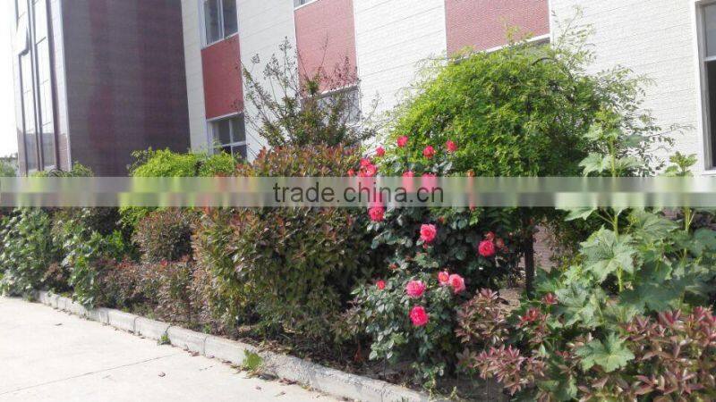 full automatic waste plastic recycling to oil pyrolysis machine 30ton per day