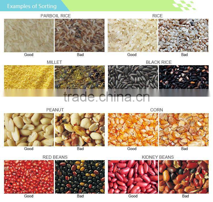 Double ccd camera color sorting nut color sorter machine peanut processing equipment