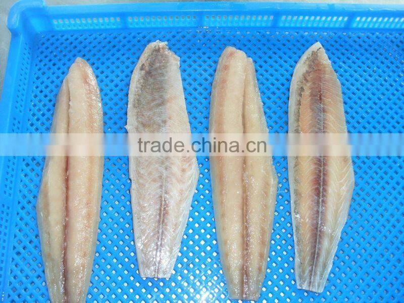 Frozen Mahi-mahi and Coryphaena hippurus fillet