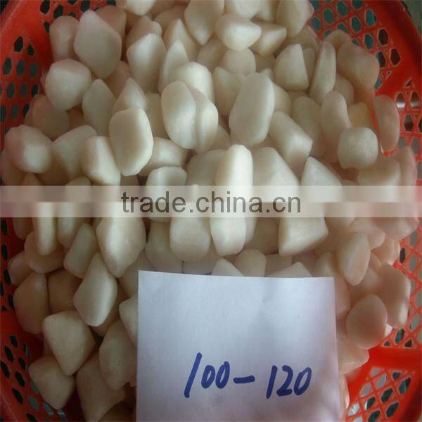IQF scallops (100-120)