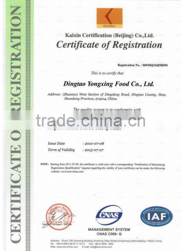 power baker instant dry yeast 500g package light yellow yeast products made in China