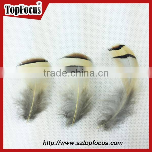 wholesale down pheasant Partridge Plumage Natural pheasant feathers prices