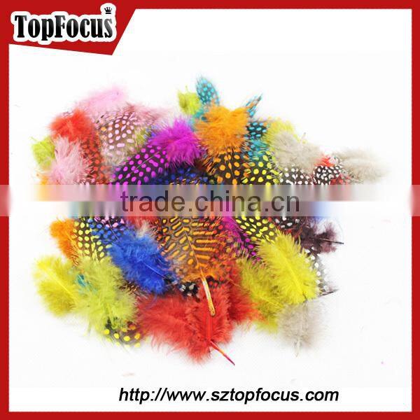 cheap dyed guinea fowl wholesale artificial feathers for carnival costumes