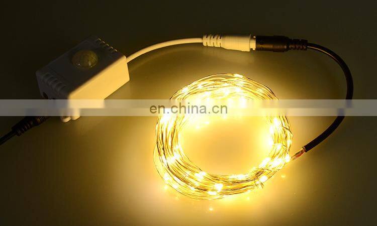 Outdoor Indoor Holiday Favors Adapter Powered Home Sense LED String Lights