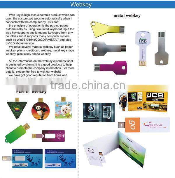 Promotion gift papar usb webkey,Custom Plastic Card Usb