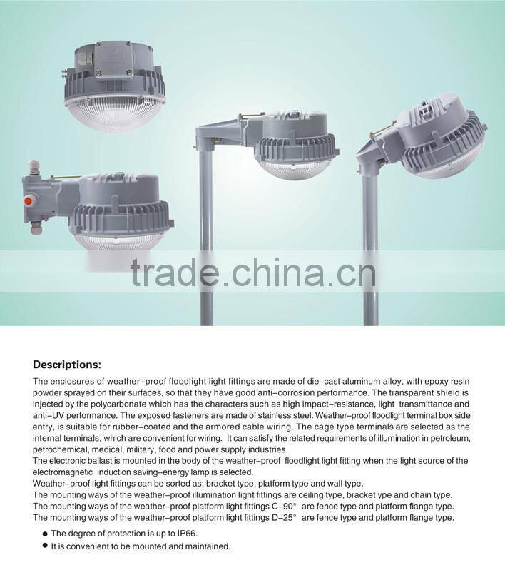 Industry Weather Proof Electromagentic Induction Energy-Saving Lamp Floodlight light fittings