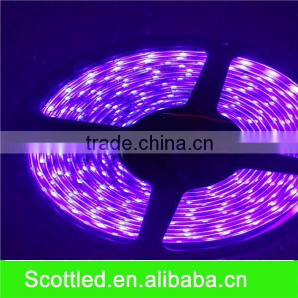 HOT SALE High brightness DC12V 60LEDS/M UV LED strip light LED FLEXIBLE light smd5050