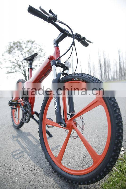 20" foldable Fat electric bike in china