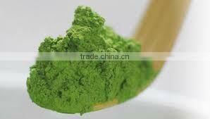 Factory Supply Matcha Green Tea Powder